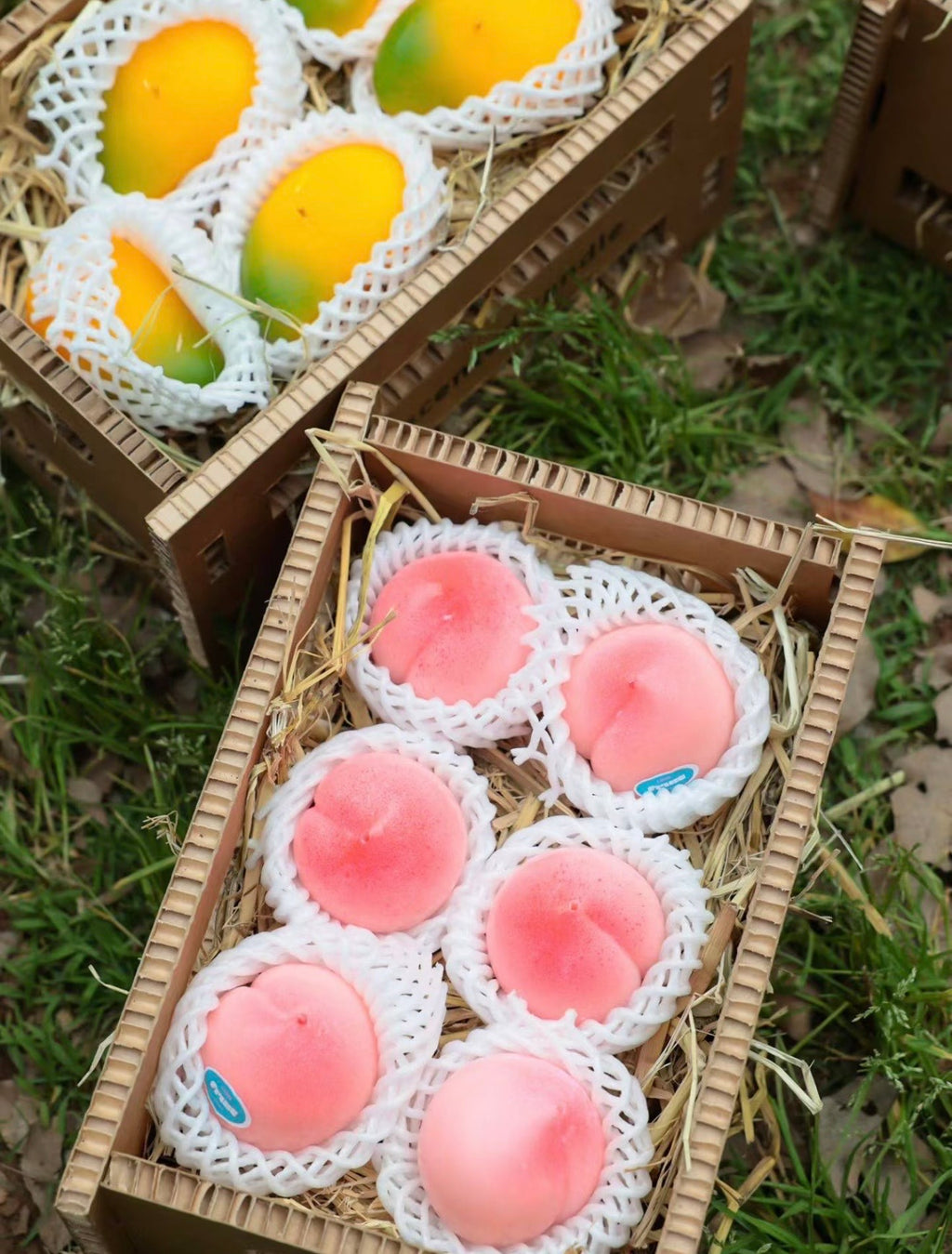 Fruit-Shaped Scented Candles – Unique & Aesthetic Home Décor, Perfect Birthday Gift for Her or Best Friends