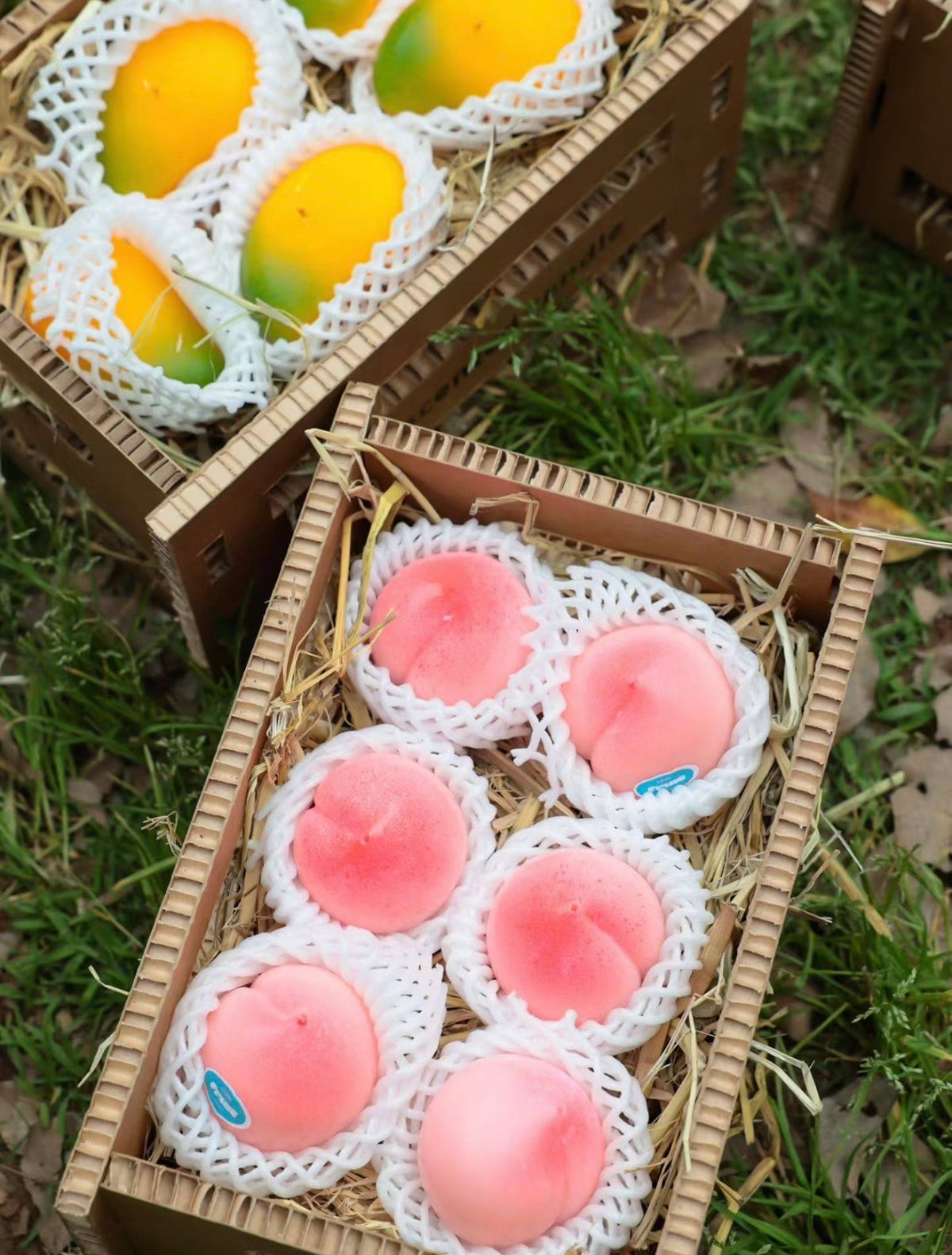 Fruit-Shaped Scented Candles – Unique & Aesthetic Home Décor, Perfect Birthday Gift for Her or Best Friends