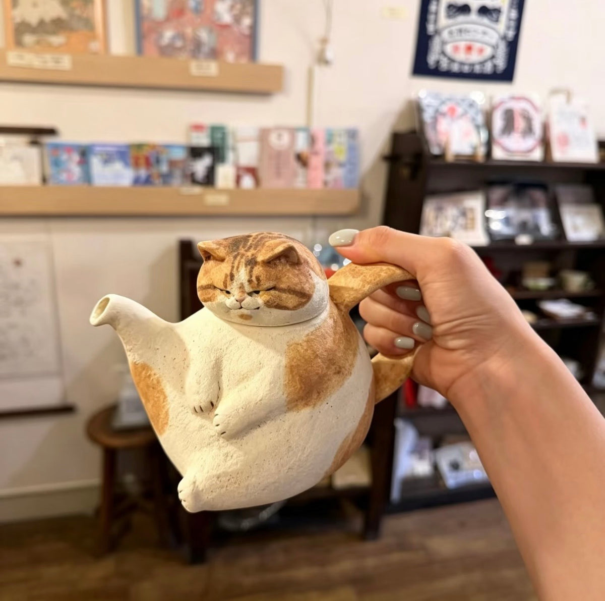 Handmade Cute Chubby Cat Teapot – Adorable Teapot Set, Housewarming & Birthday Gift Box